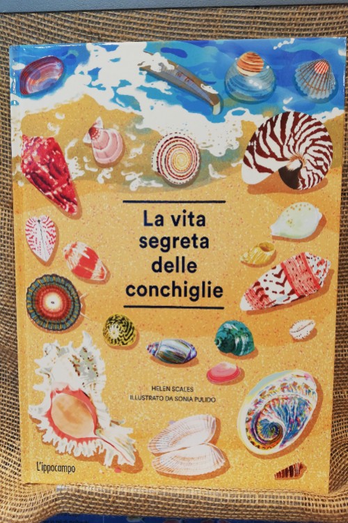 La vita segreta delle conchiglie