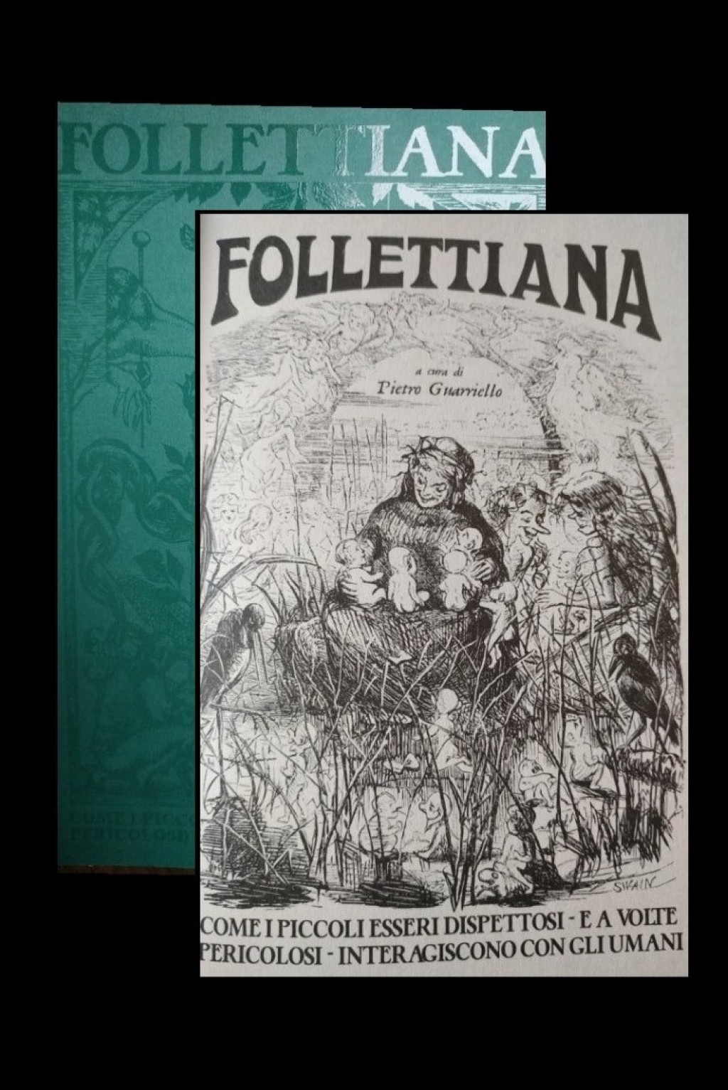 Follettiana